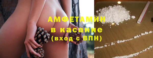 прущие грибы Ростов