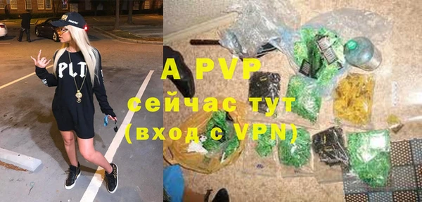 прущие грибы Ростов
