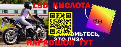 ПСИЛОЦИБИНОВЫЕ ГРИБЫ Баксан