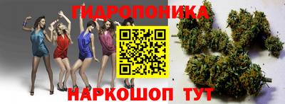 ПСИЛОЦИБИНОВЫЕ ГРИБЫ Баксан