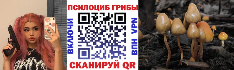 Галлюциногенные грибы MAGIC MUSHROOMS  магазин продажи наркотиков  Чернушка 